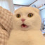 如何。
