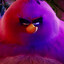 BigRed