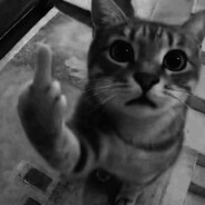 Calma