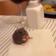 NapkinSmith.com