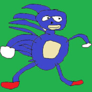 sonk the hehoo