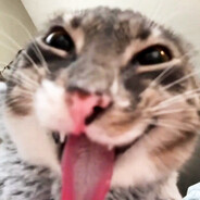 ひぐるま