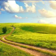 十一月の輕、語