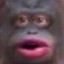 Monke