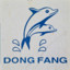 Dong Fang