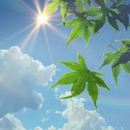 她说彩礼八十八万八