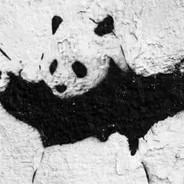 灬Panda