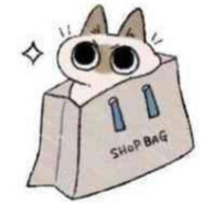 星野に鳥が旅する