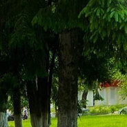 来自俄罗斯的瘾君子 - steam id 76561198764581379