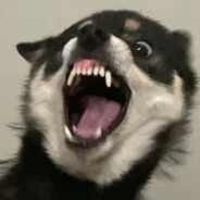 风浪里的<・)))><<