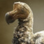 Dodoeater