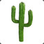 Mr.cactuc