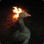 Burning Duck Head