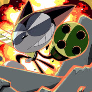 酷乐猫使命必达！