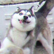 我在缅北嘎荔枝丶