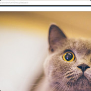 巨龙为卡你而来