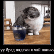 Подожди я чай пью