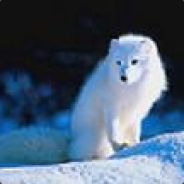 whitefox - steam id 76561197970363900