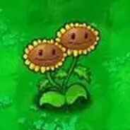 Ciallo～(∠・ω< )⌒☆