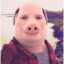 John Pork