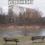 увы