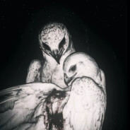 [OcCc] 𝙁𝙖𝙢𝙞𝙣𝙚