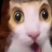 凱特