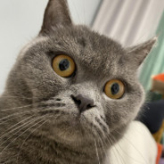 这孩子打小就聪明