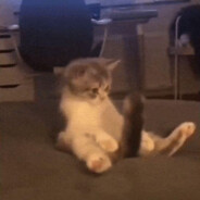 文Jerry（电脑）