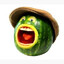 MR WATERMELON
