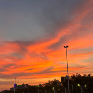 她说相逢已为幸事