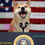 Doge4President