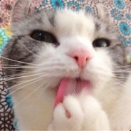 事已至此，先吃饭吧