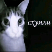 ВОВЧЕГ