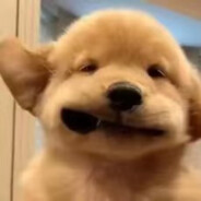 背了个咸鱼在身上