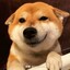 龙