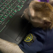 балтовать пришел