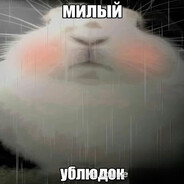 Аватар tapok