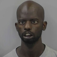 🌽🌽🌽🌽🌽🌽🌽🌽