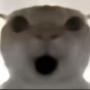 春风随我作狮子鸣