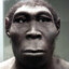 Australopithecus Cearense