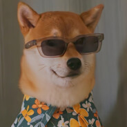 蔡徐坤（两年半）