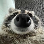 s0rensen avatar