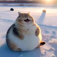 树欲静而风不止