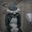 Kazauks