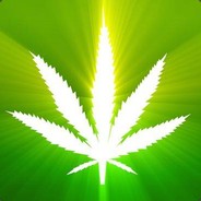 gartensia Steam avatar