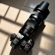 橘猫军士的孤寂之心摄影俱乐部