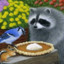 RaccoonsAndPie