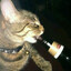 dashiell