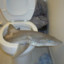 Bathroom Shark